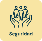 Icono Seguridad